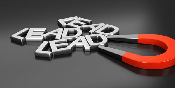 lead magnet